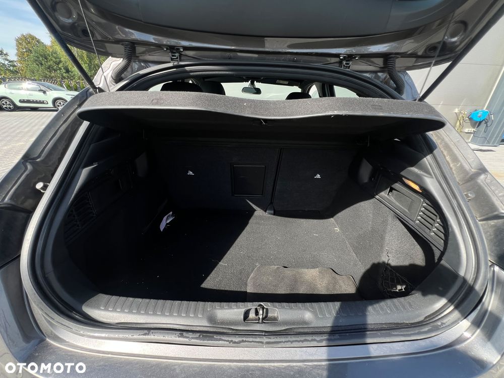 DS Automobiles DS 4 - 19