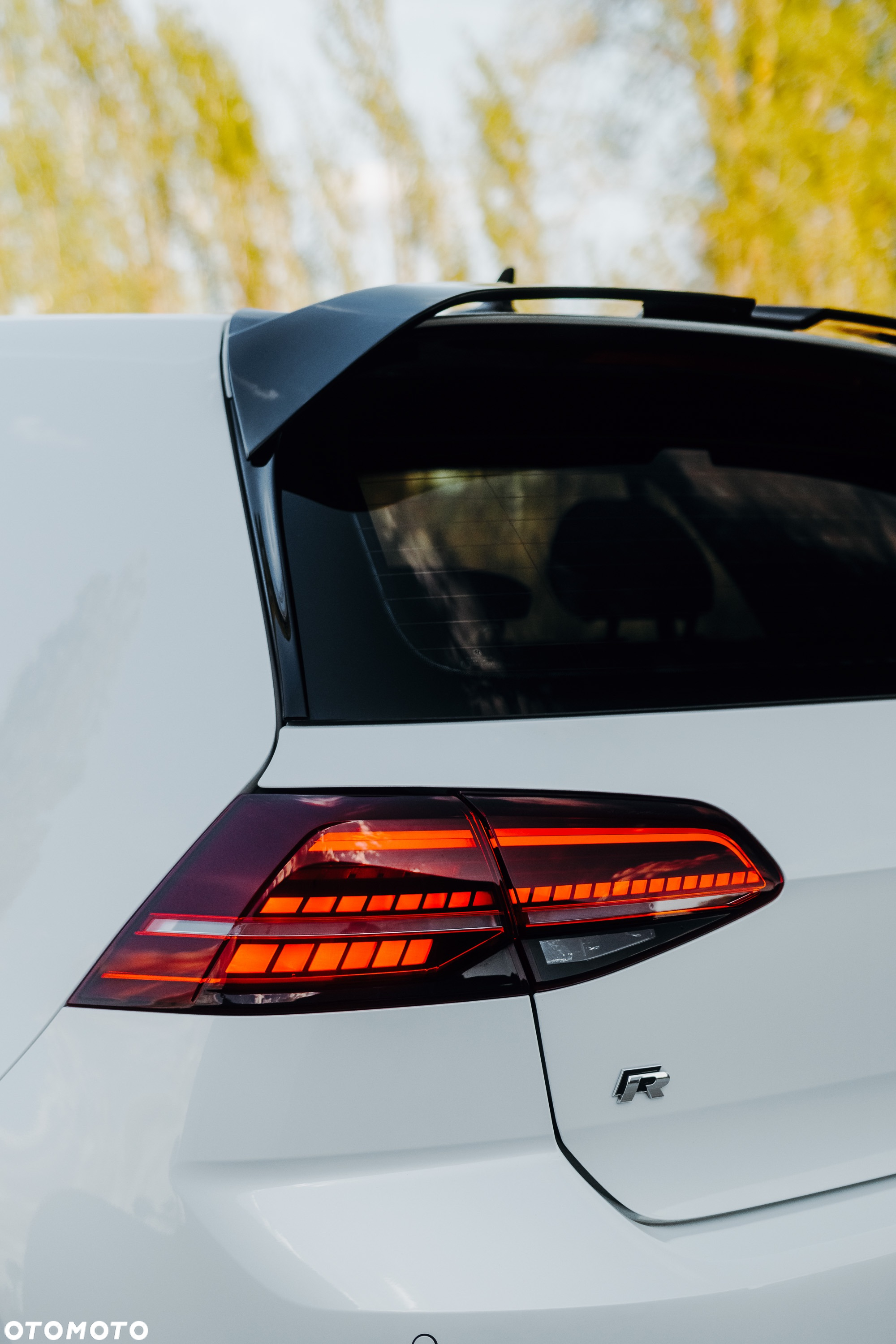 Volkswagen Golf R 4Motion (BlueMotion Technology) DSG - 32