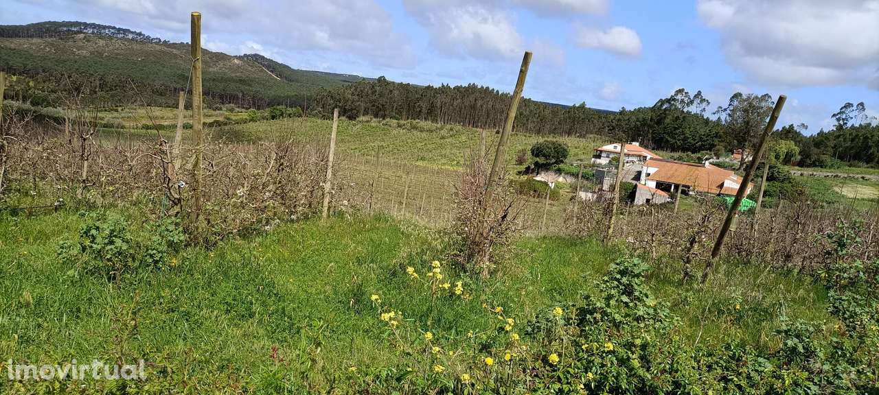 Quintinha Valado Frades Nazaré -Leiria - Grande imagem: 4/51