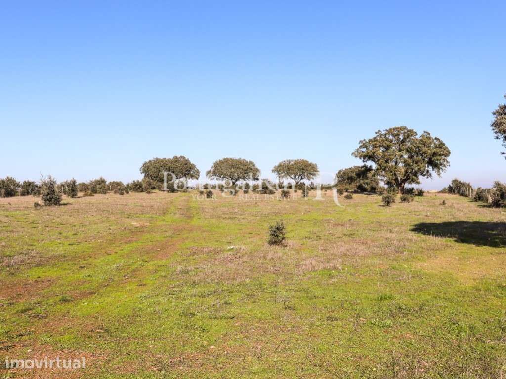 Quinta de 7,5 ha em Cabeça de Carneiro, Alandroal - Grande imagem: 4/10