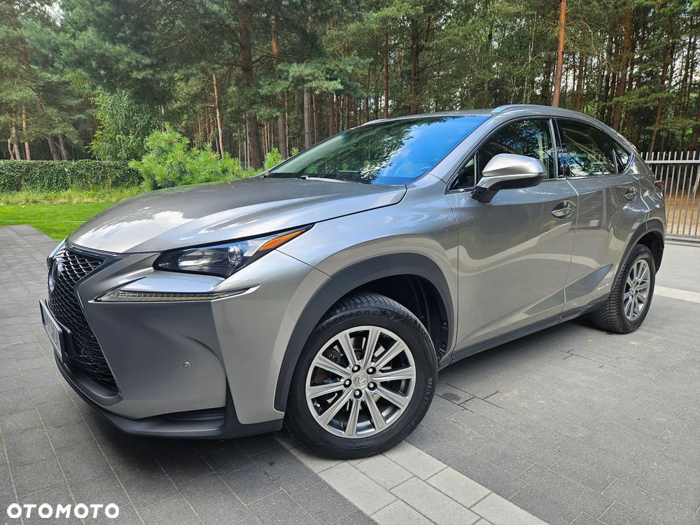 Lexus NX 300h Prestige AWD - 5