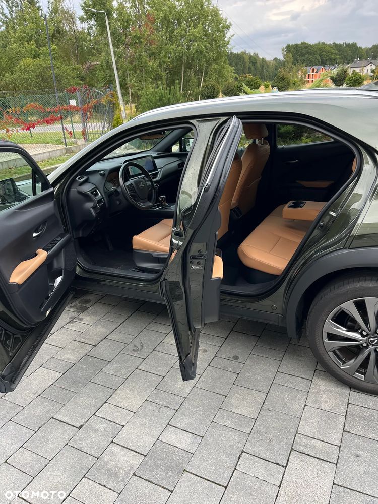 Lexus UX 250h GPF F Sport Design+ 2WD - 5