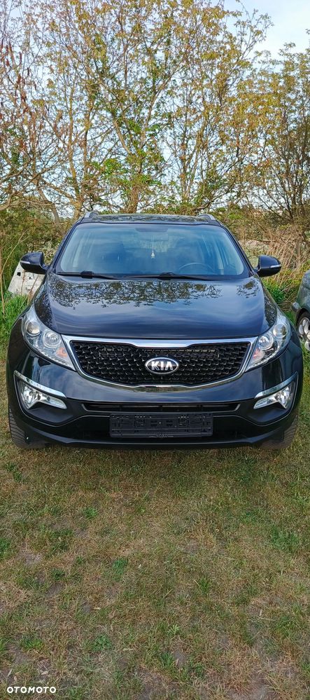 Kia Sportage 1.6 GDI Business Line L 2WD - 24