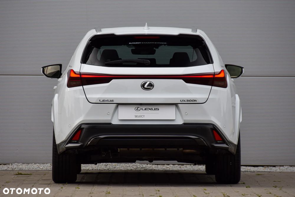 Lexus UX 300h F Sport - 9