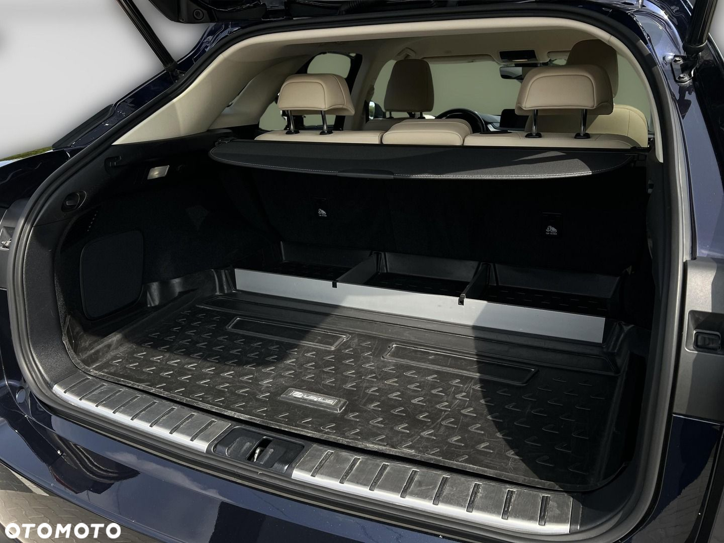 Lexus RX - 19