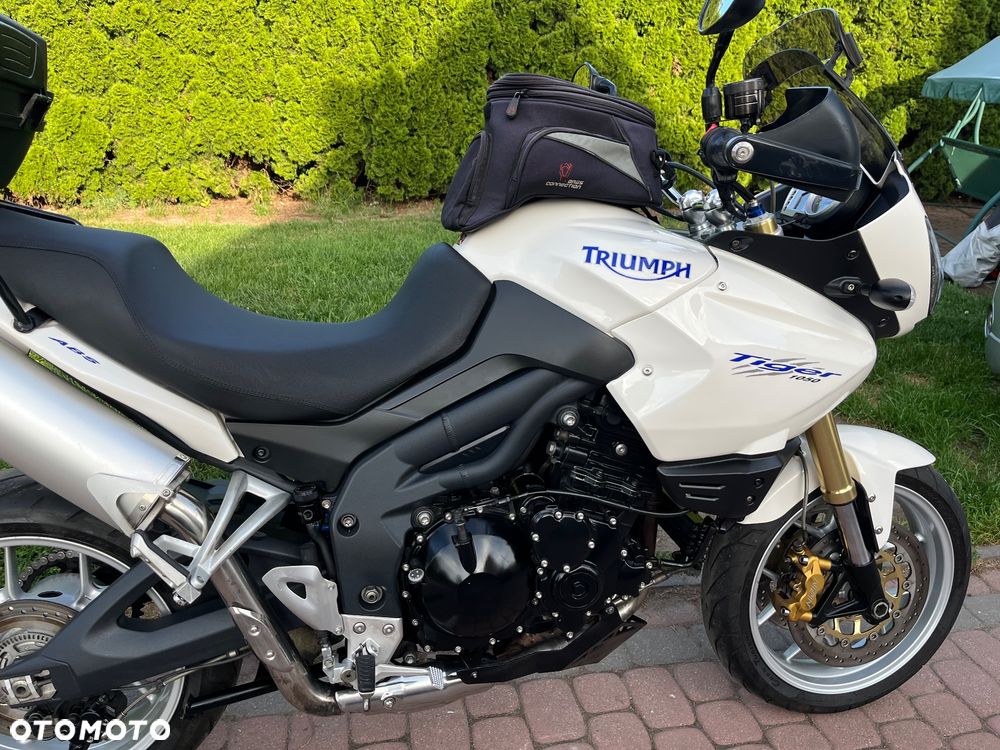 Triumph Tiger - 11