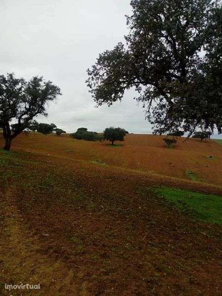 Monte Alentejano - Grande imagem: 2/9