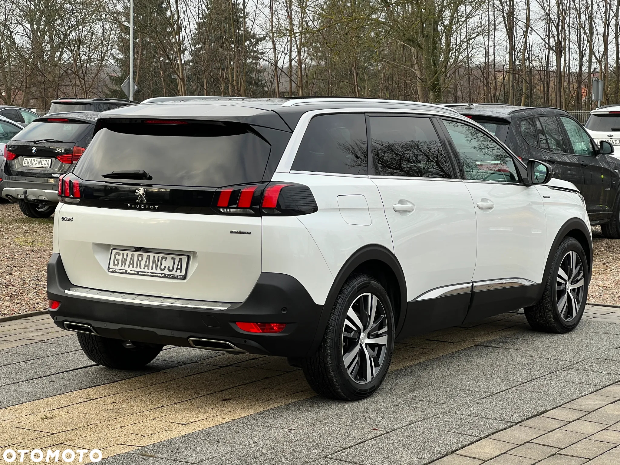 Peugeot 5008 1.5 BlueHDi GT S&S EAT8 - 10