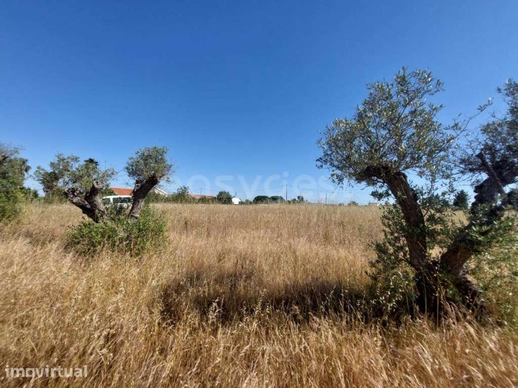 Terreno rúsitco no Lau com possibilidade de construção - Grande imagem: 5/6