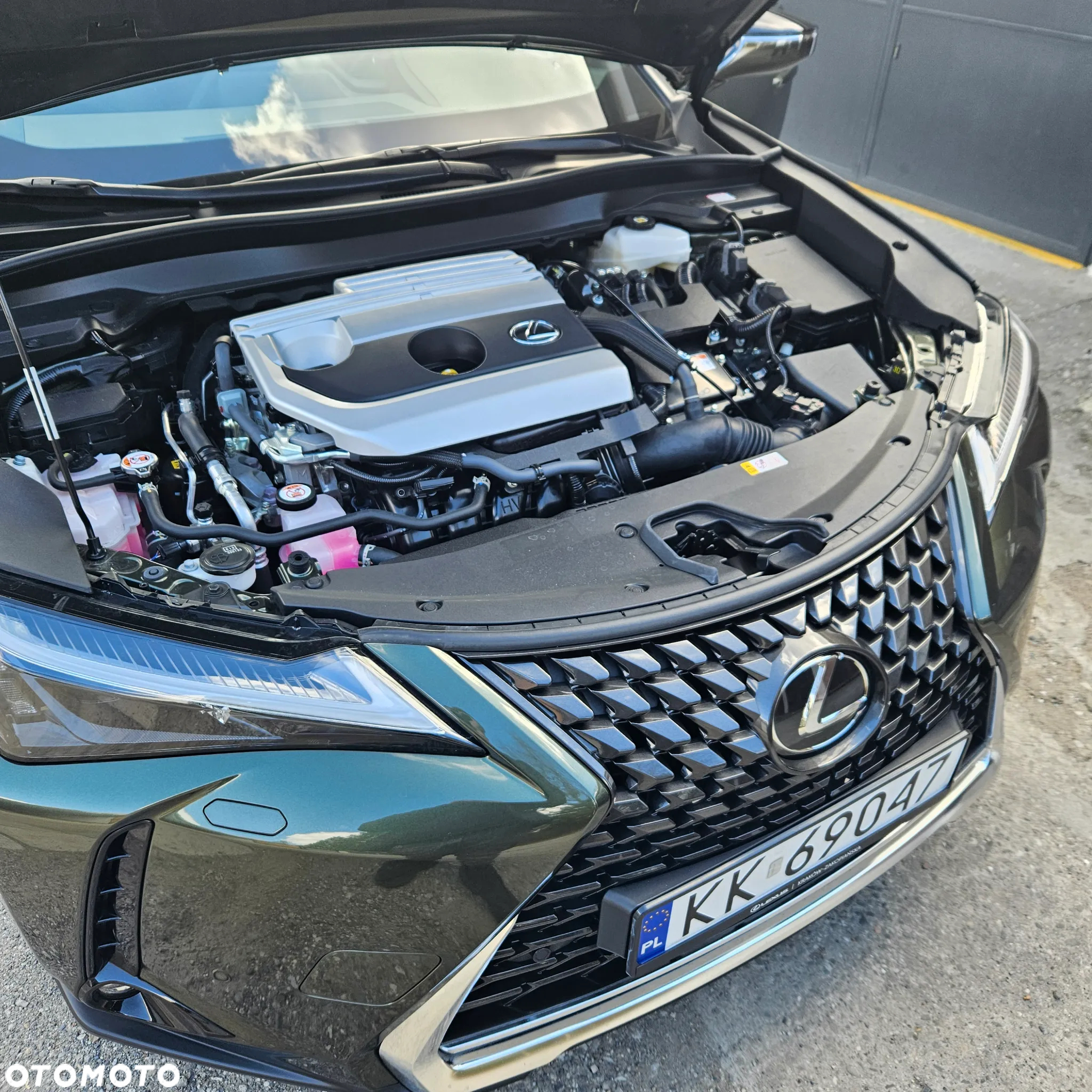 Lexus UX 250h GPF Business 2WD - 28