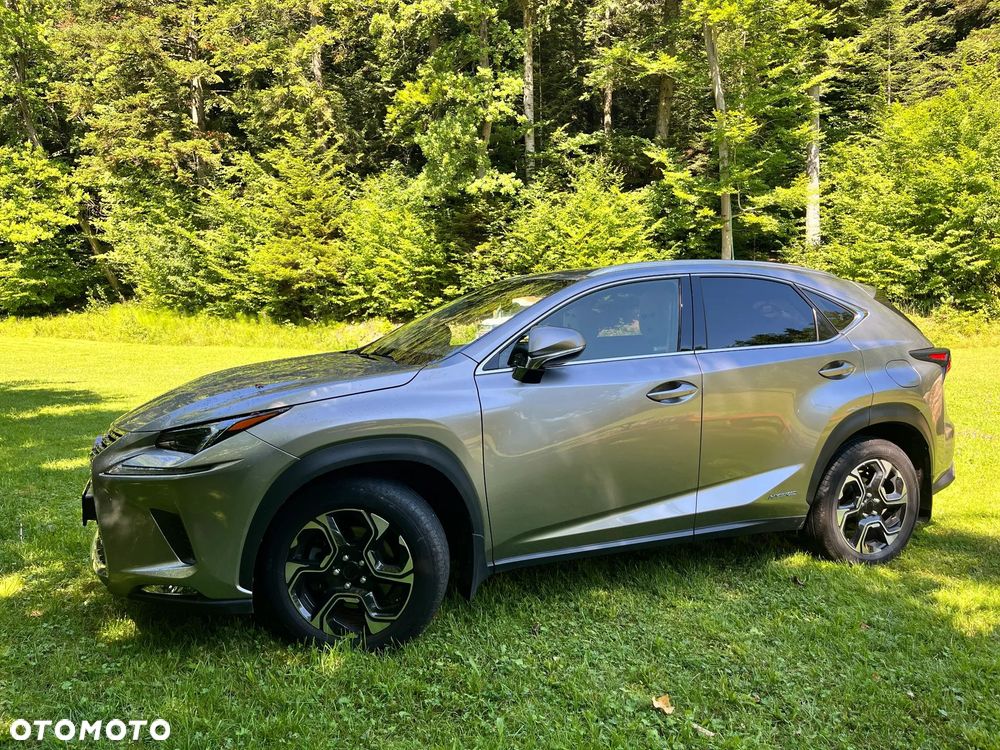 Lexus NX 300h Elegance AWD - 39