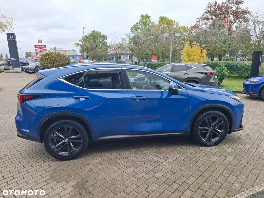 Lexus NX - 6