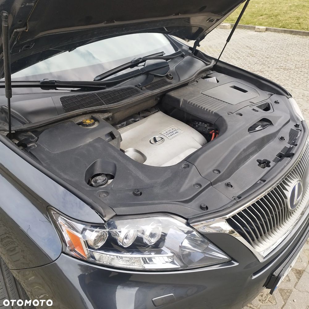 Lexus RX 400h (hybrid) Executive - 10