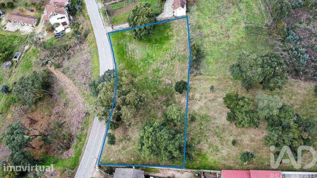 Terreno Agrícola em Figueiró dos Vinhos e Bairradas - Grande imagem: 5/13