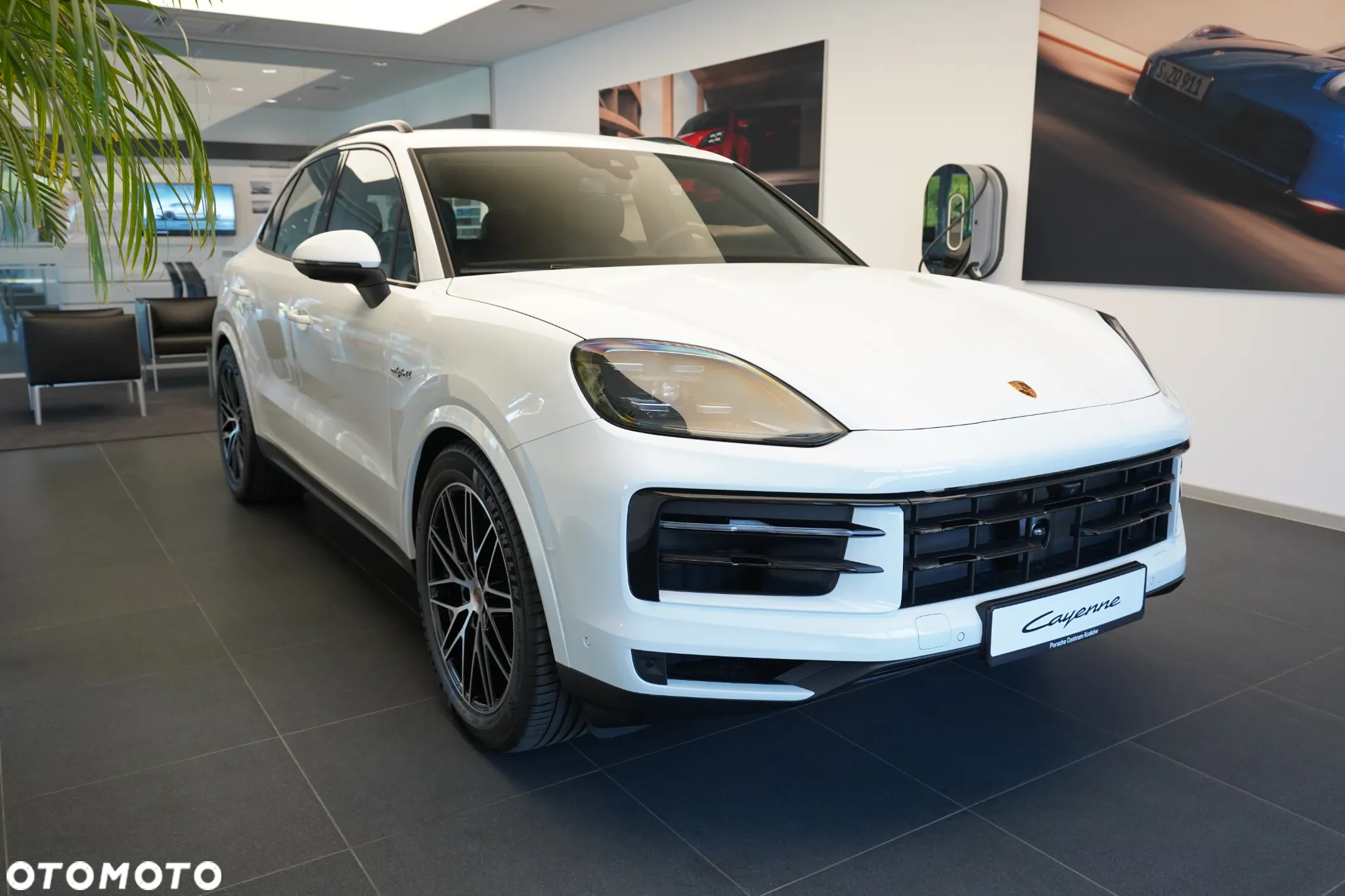Porsche Cayenne E-Hybrid - 7