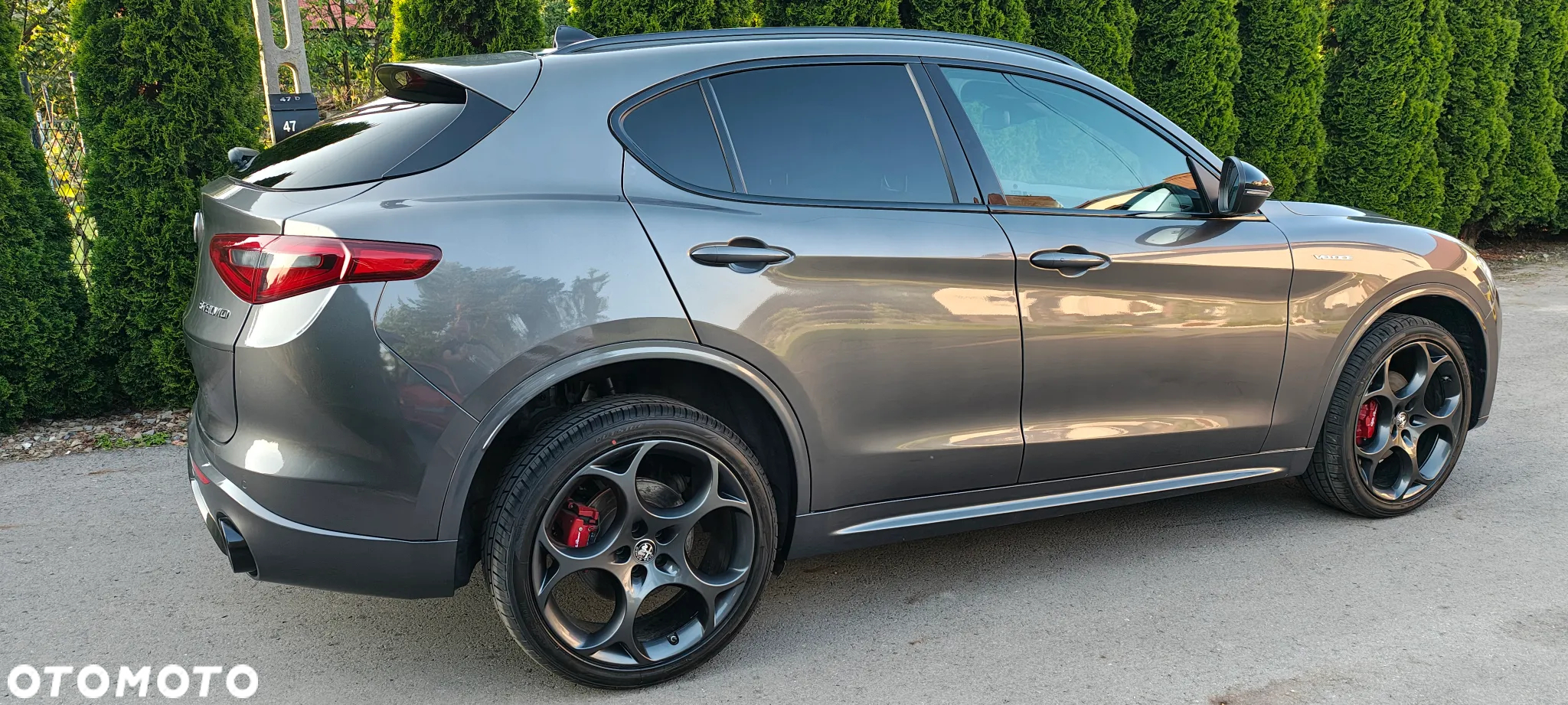 Alfa Romeo Stelvio 2.0 Turbo Veloce TI Q4 - 2