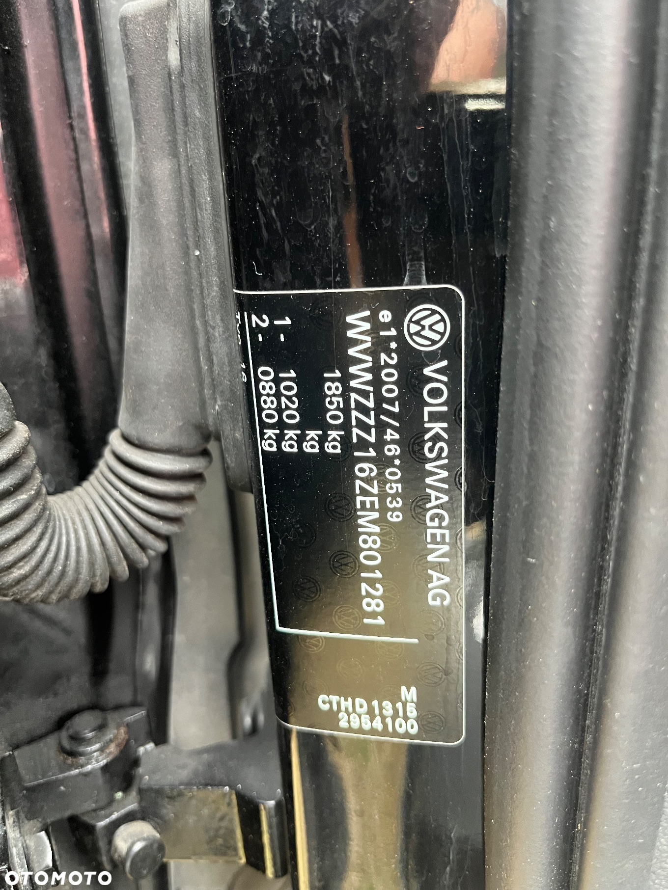 Volkswagen Beetle - 4