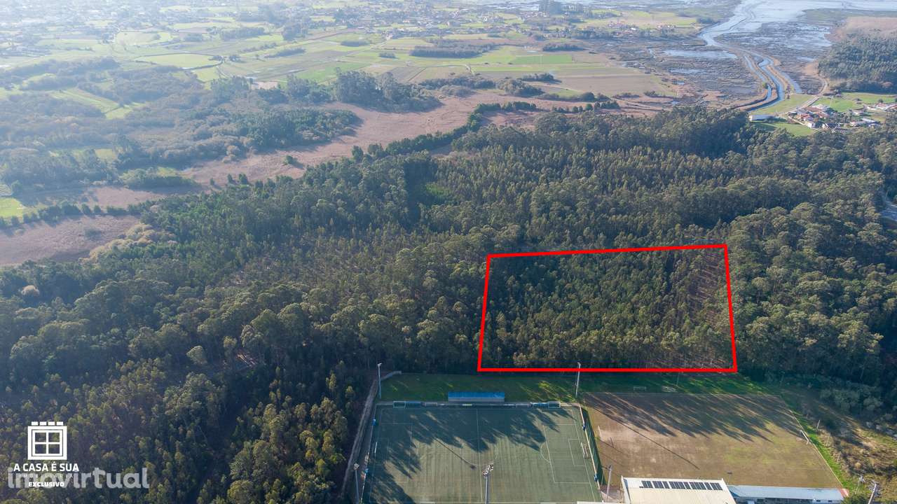 Terreno rústico com 17.800 m² em Avanca - Exclusivo - Grande imagem: 2/14