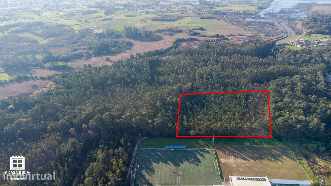 Terreno rústico com 17.800 m² em Avanca - Exclusivo - Grande imagem: 2/14