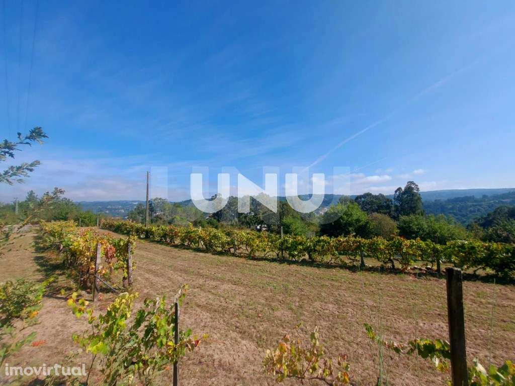 Terreno Rústico - Vistas Desafogadas - Grande imagem: 2/21