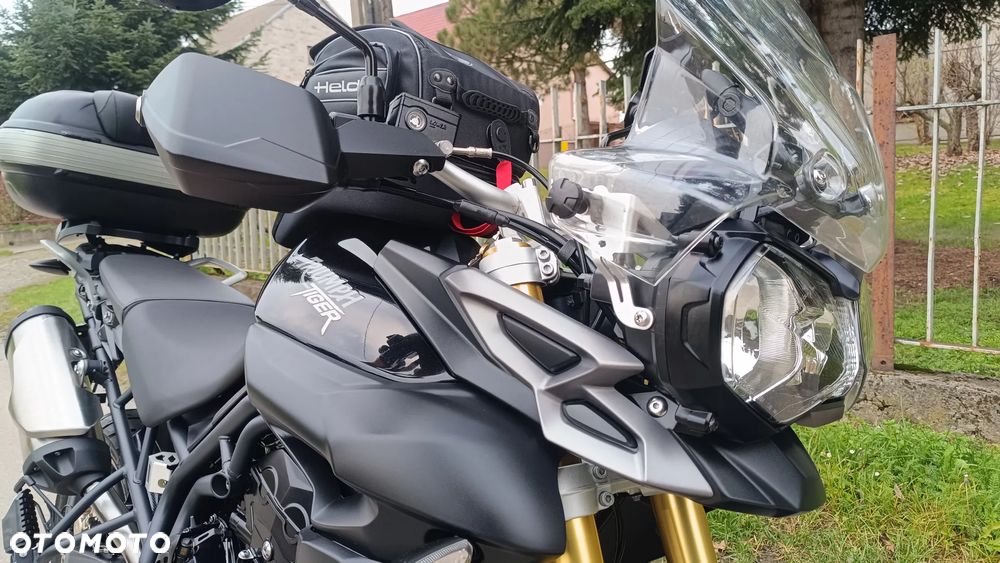 Triumph Tiger - 11
