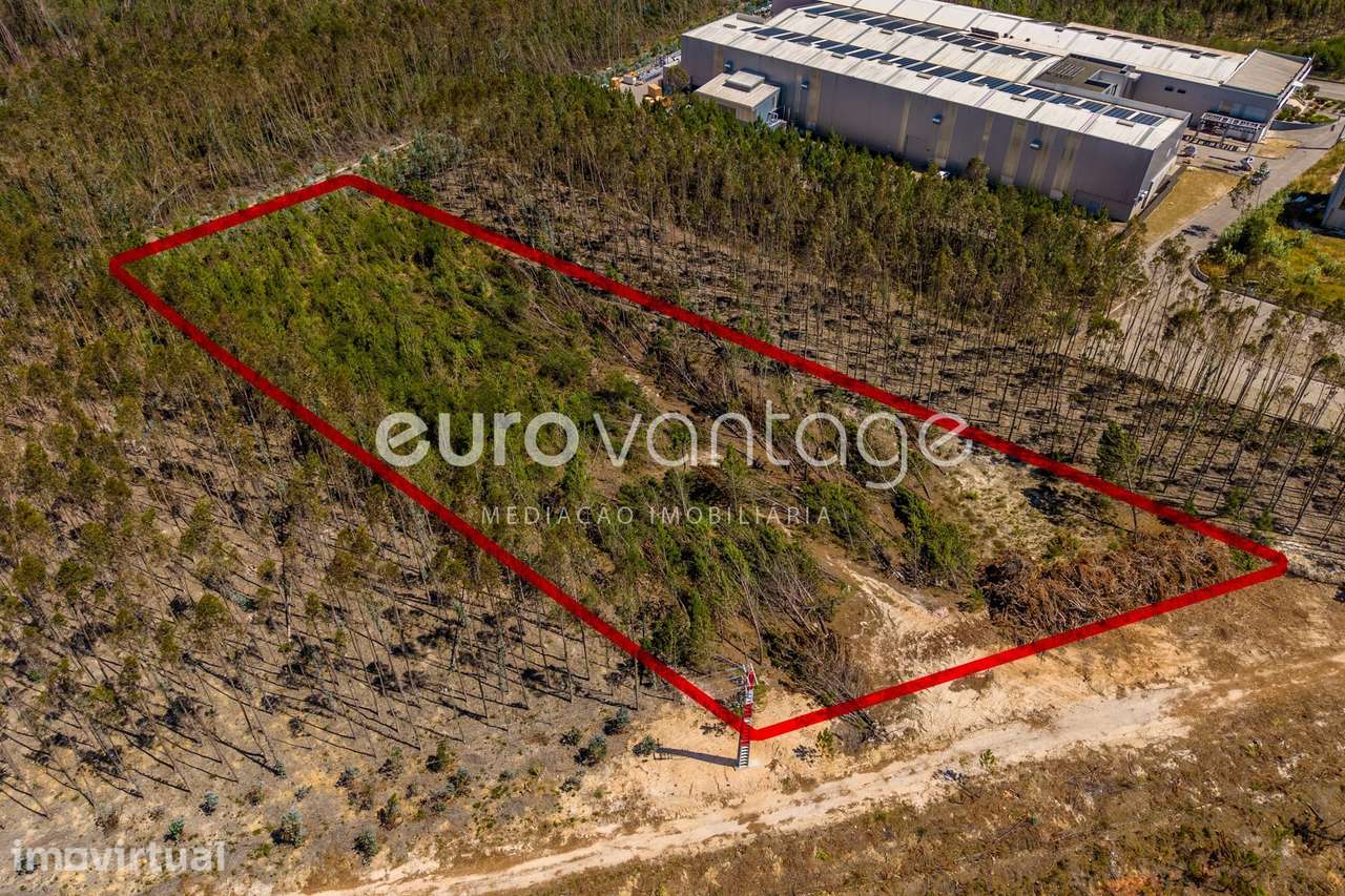 Terreno Industrial c/ 8.846 m² | Maceira, Junto à A8 – pohled 5