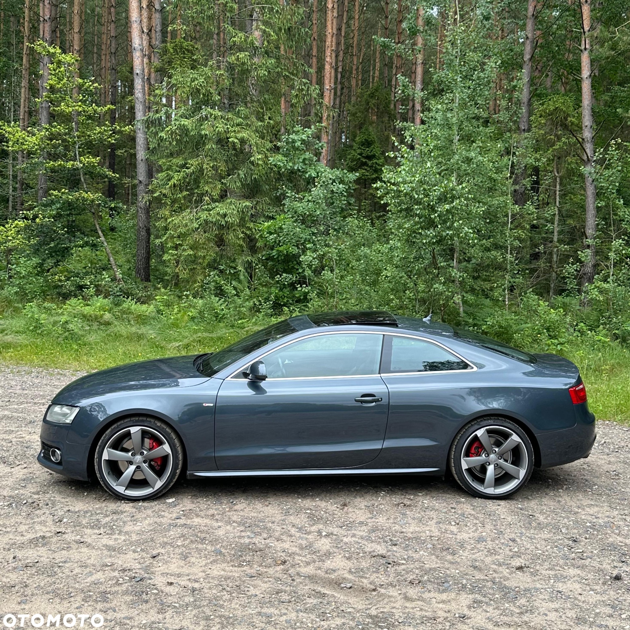 Audi A5 3.0 TDI Quattro Tiptr - 6