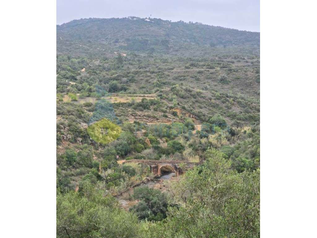 TERRENO RÚSTICO VISTA PARA SUL JUNTO AO CASTELO DE PADERNE - Grande imagem: 5/6