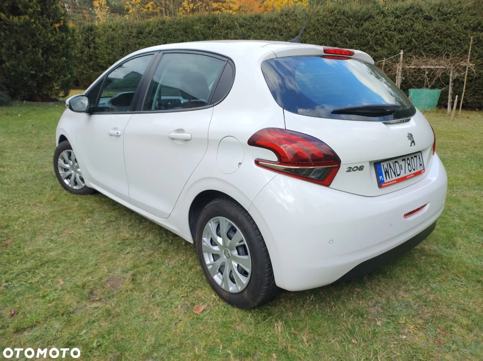 Renault Clio - 16