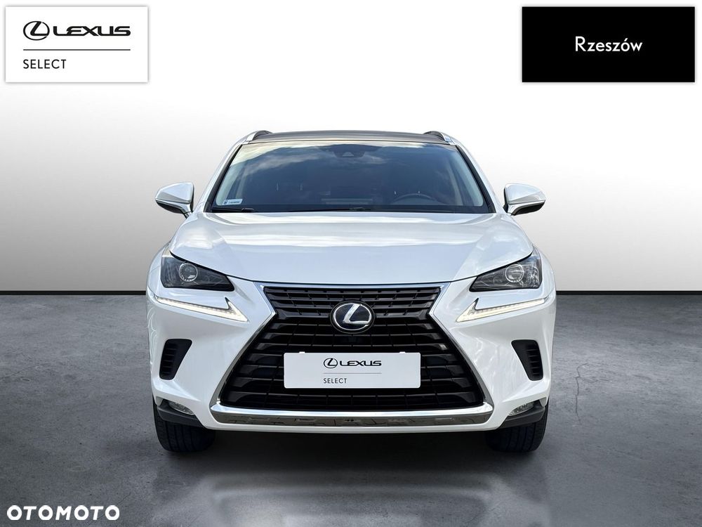 Lexus NX 300h Business Edition AWD - 8