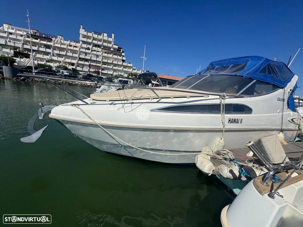 Gobbi 245 Cabin - 1
