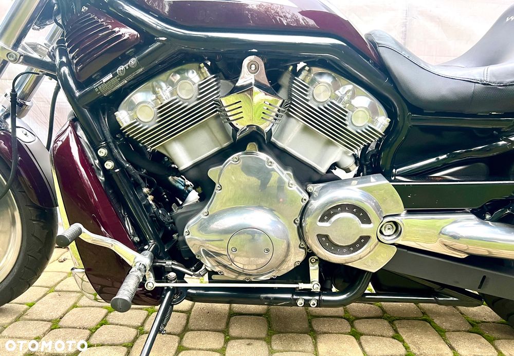 Harley-Davidson V-Rod Street Rod - 20