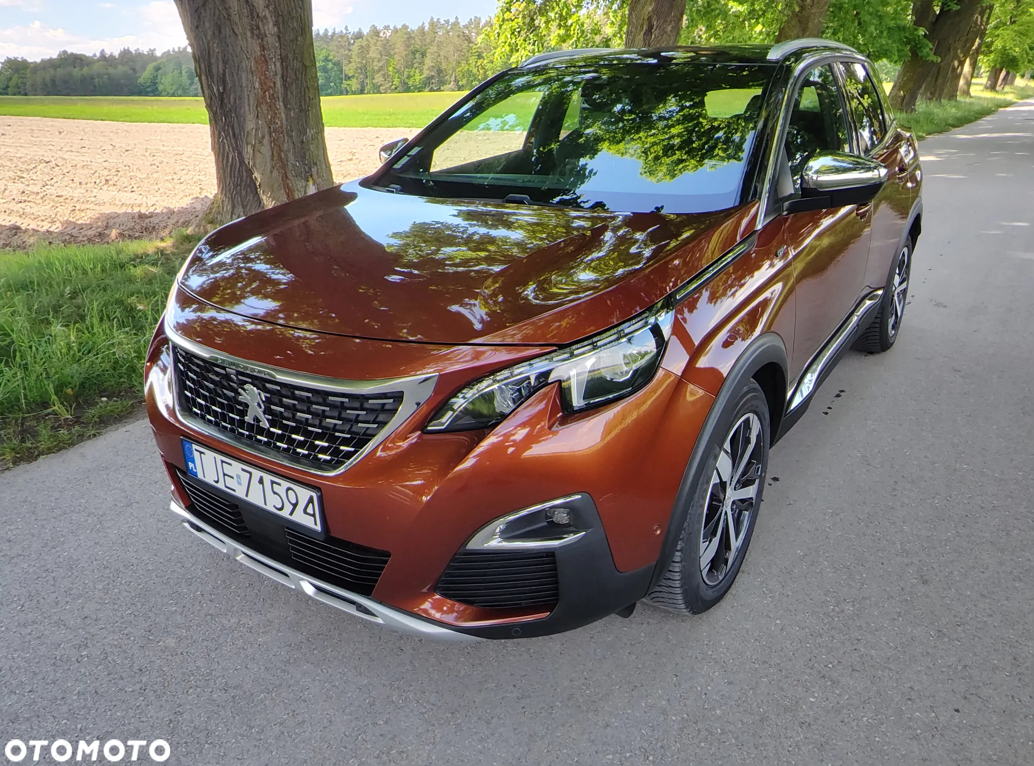 Peugeot 3008 2.0 BlueHDi GT S&S EAT8 - 3