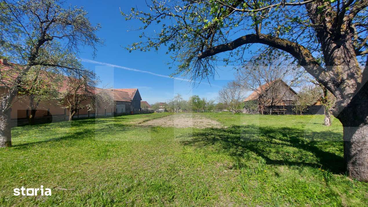 Teren intravilan 2200 mp in Bicfalau I 30 m front stradal I Utilitati - Imagine principală: 2/2