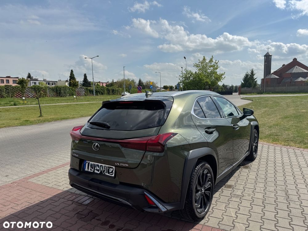 Lexus UX 250h F Sport 2WD - 6