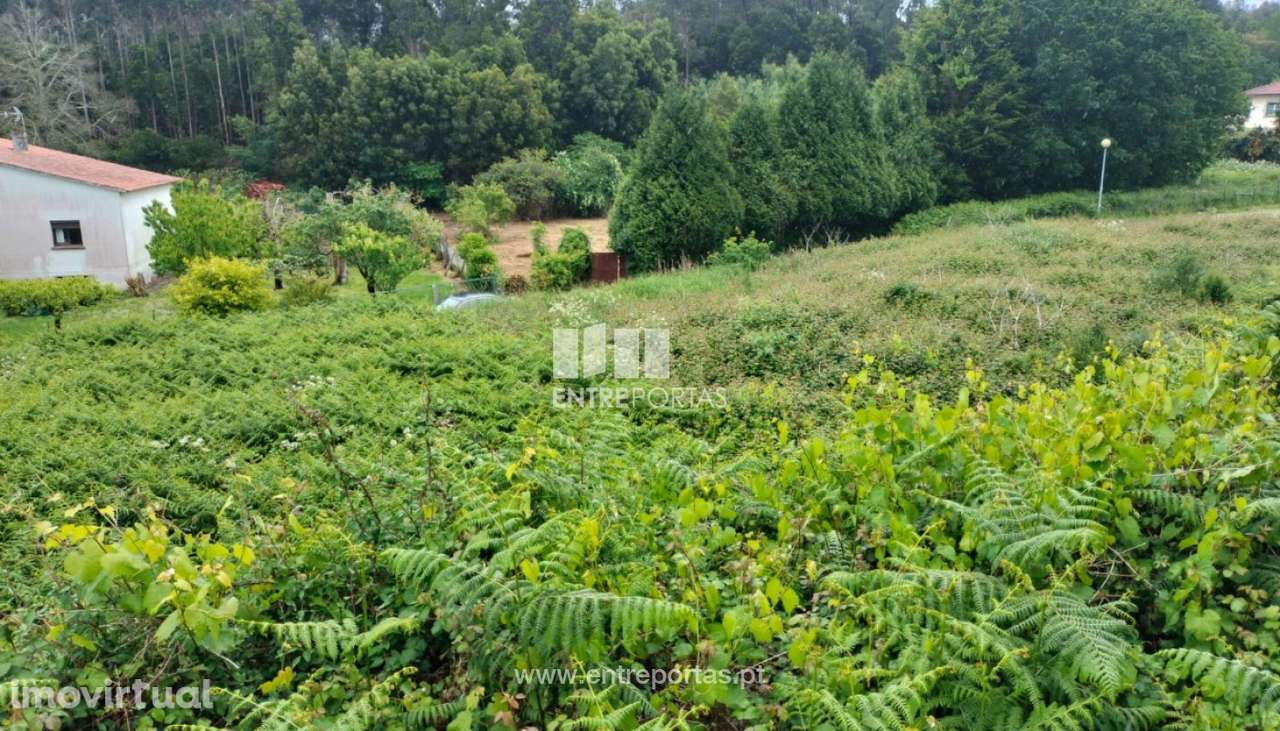 Terreno de construção para venda, Venade, Caminha - Grande imagem: 4/11