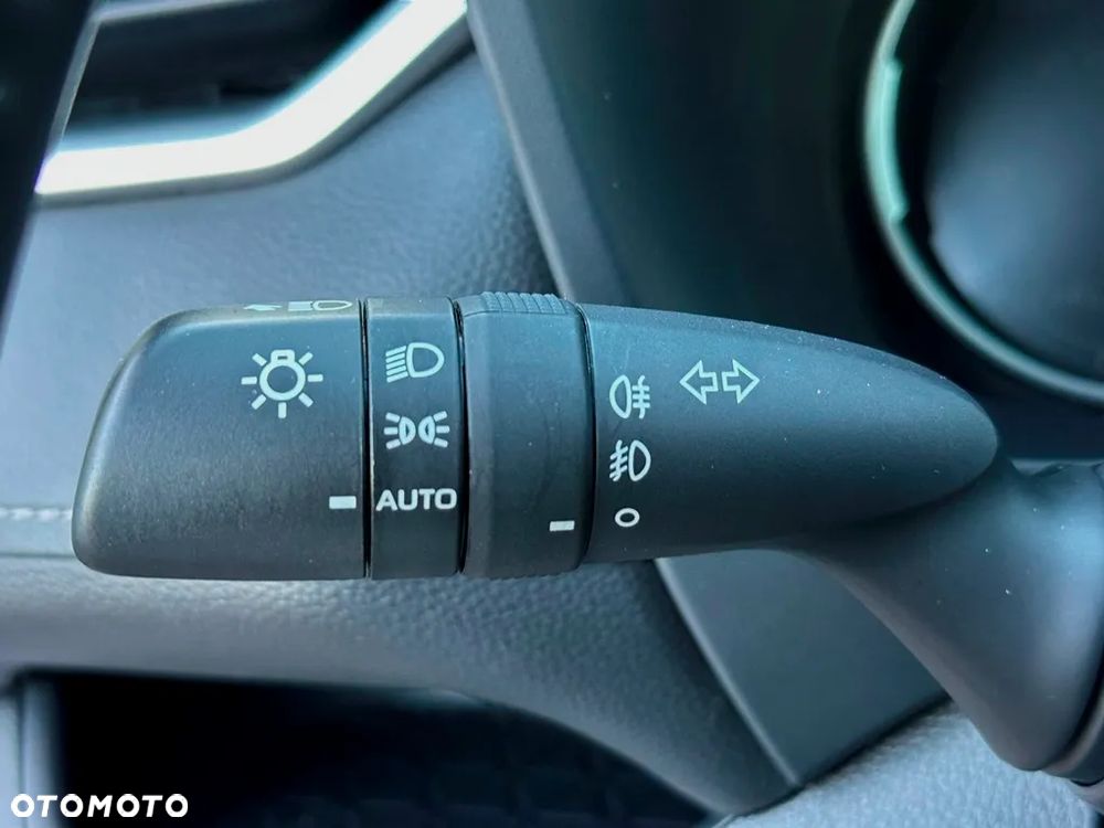 Toyota RAV4 2.5 Hybrid Executive 4x2 - 18