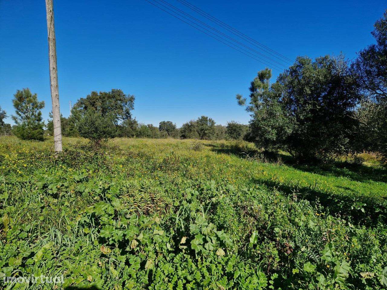 Terreno Padeiras - Grande imagem: 2/8