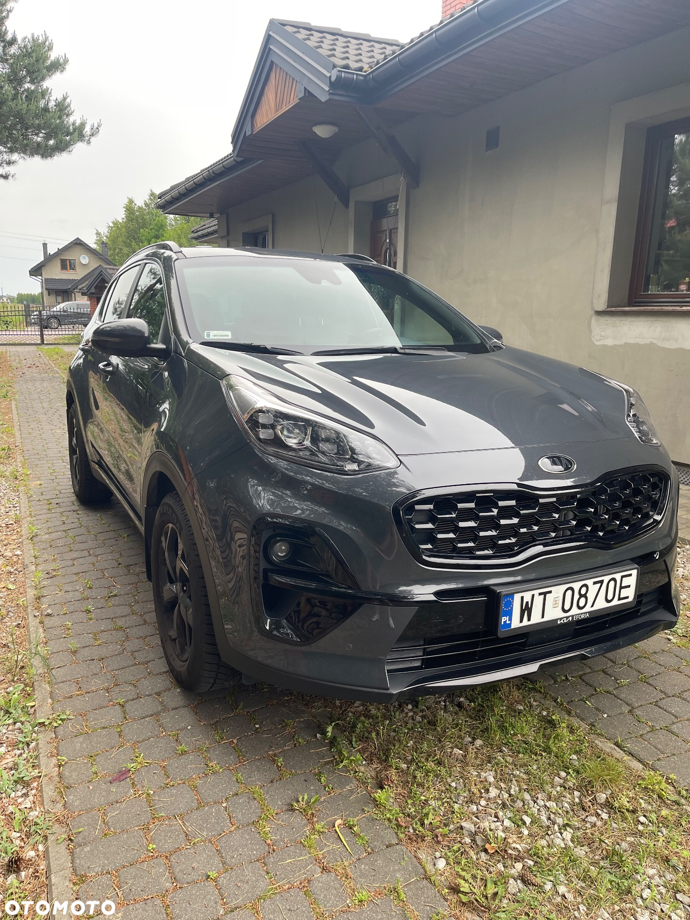 Kia Sportage 1.6 T-GDI Black Edition Plus 4WD DCT - 3