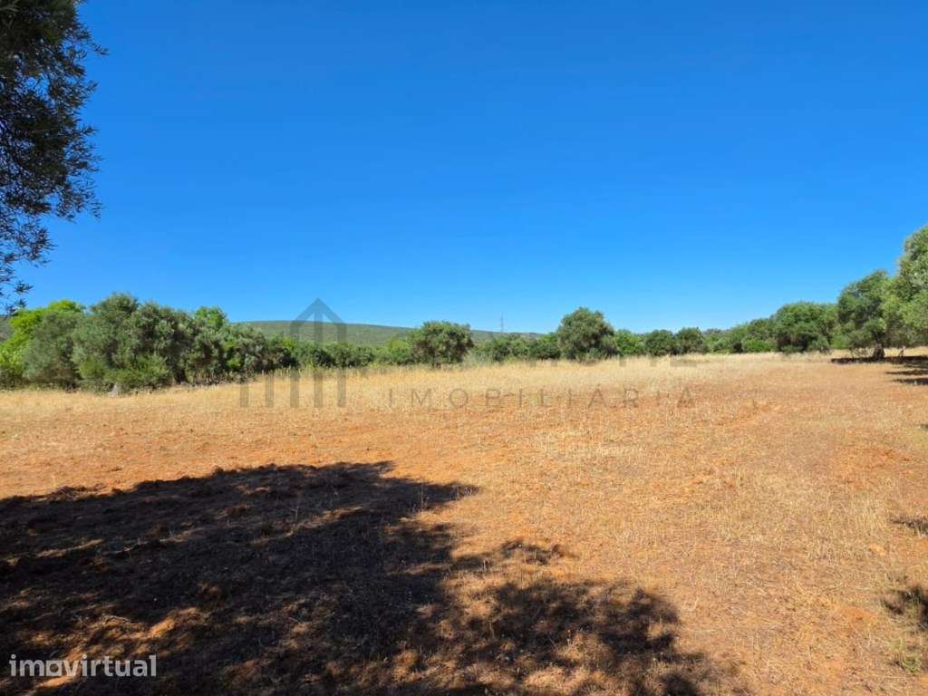 Terreno com ruína na Ribeira de Algibre no Concelho de Loulé Algarve - Grande imagem: 4/25