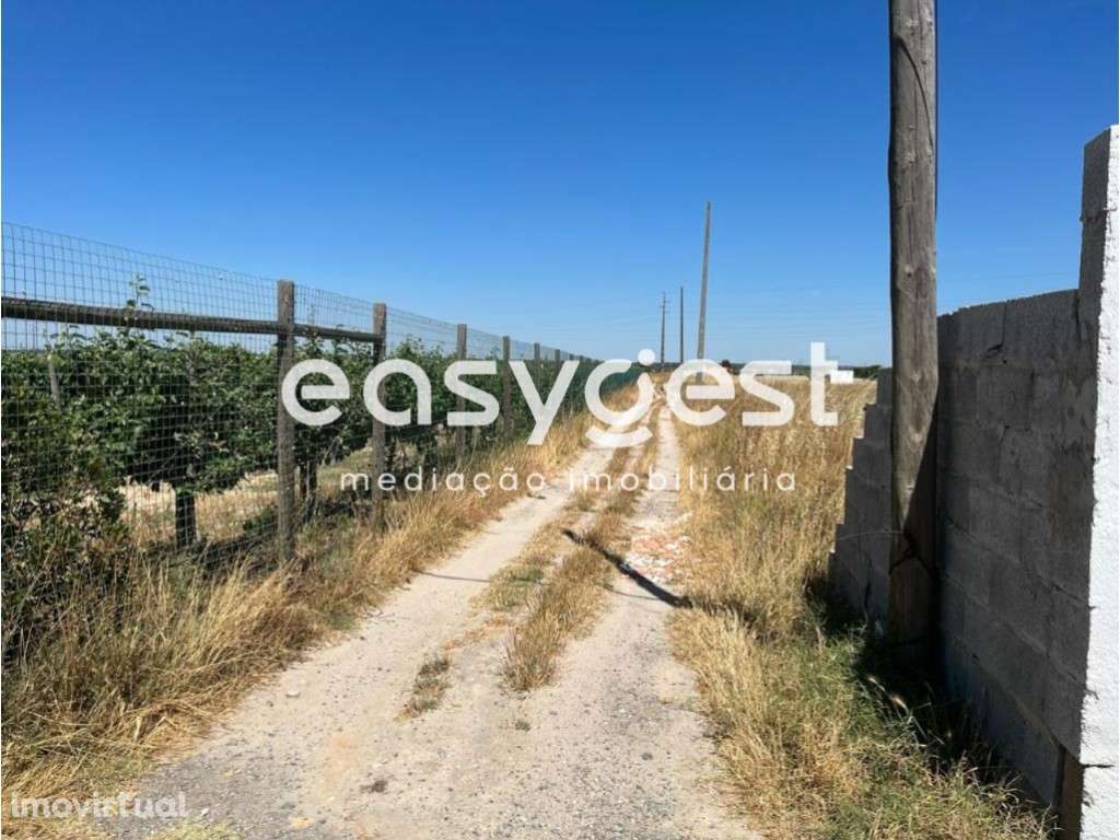 Terreno com viabilidade de construção junto a estrada alcatroada - Grande imagem: 5/13