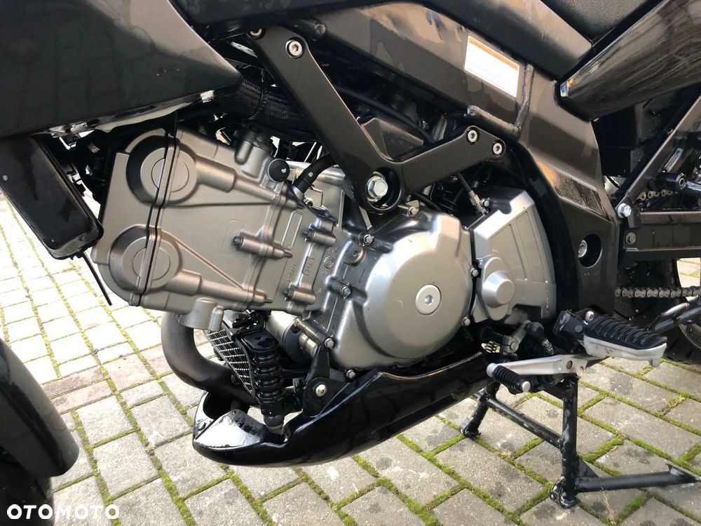 Suzuki DL - 10