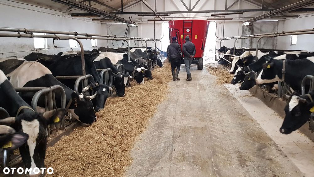 Wóz paszowy STRAUTMANN, METALTECH, SANO, EUROMILK, Trioliet - 23