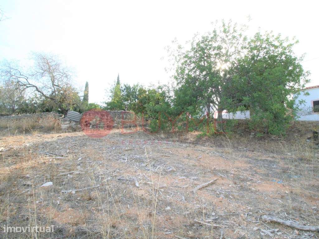 Terreno rústico de 2.400m² em Boliqueime, ideal para cultivo - Grande imagem: 5/6