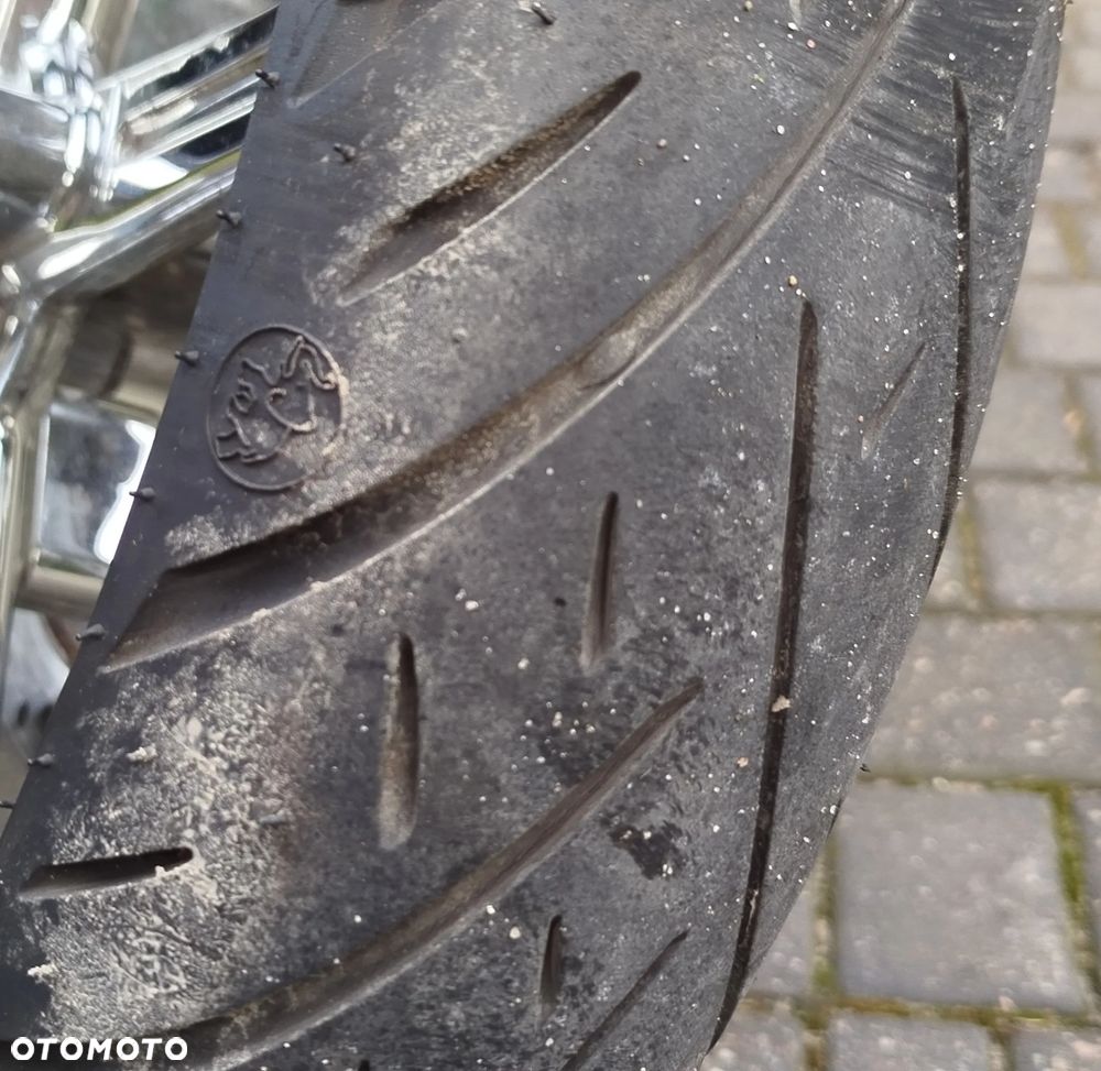 Harley-Davidson Softail V-Rod - 19