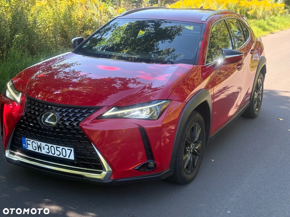 Lexus UX - 18