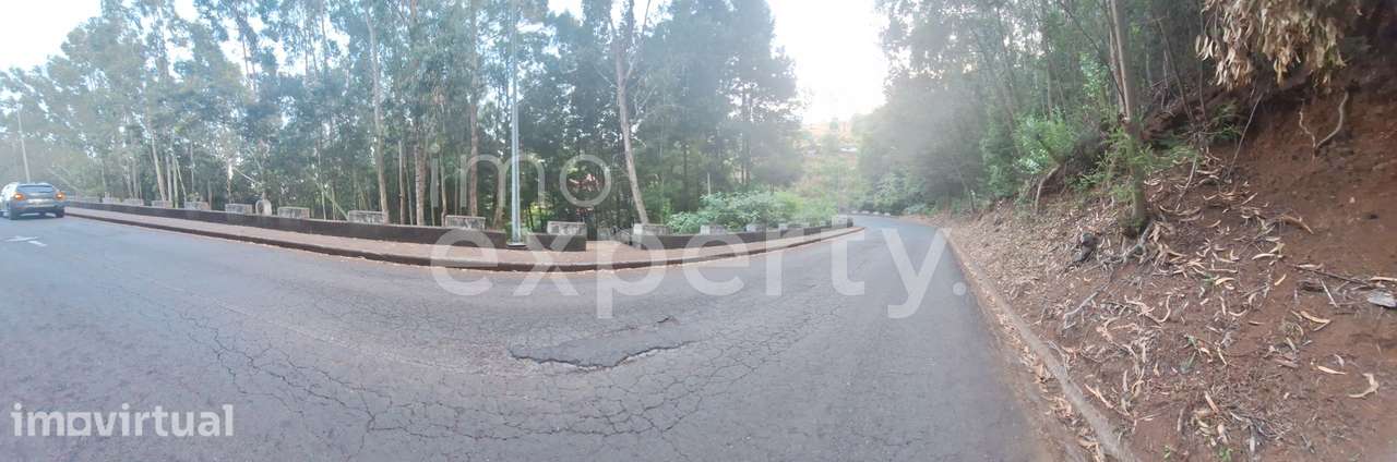 Terreno em Gaula com 2590m2, Madeira - Grande imagem: 5/18