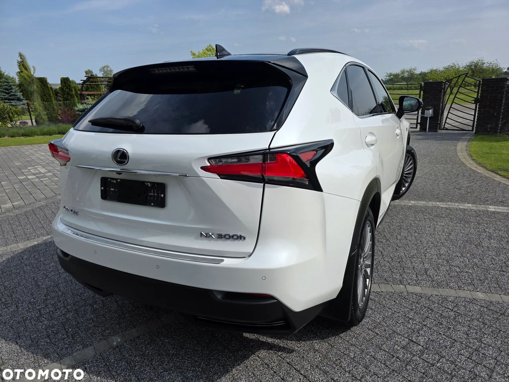 Lexus NX 300h E-FOUR F SPORT - 15