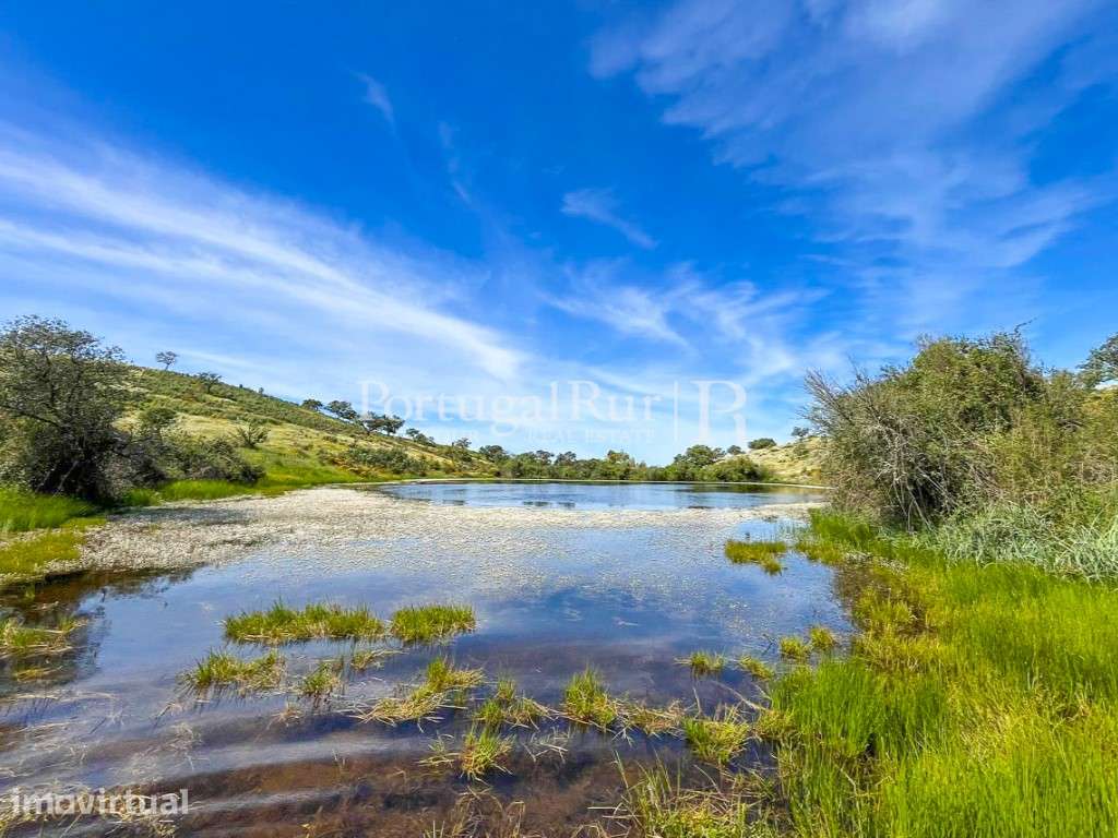 Herdade com 800 ha, 3 Barragens, Monte, Cortiça e RPB de 200m€ Ano - Grande imagem: 2/60