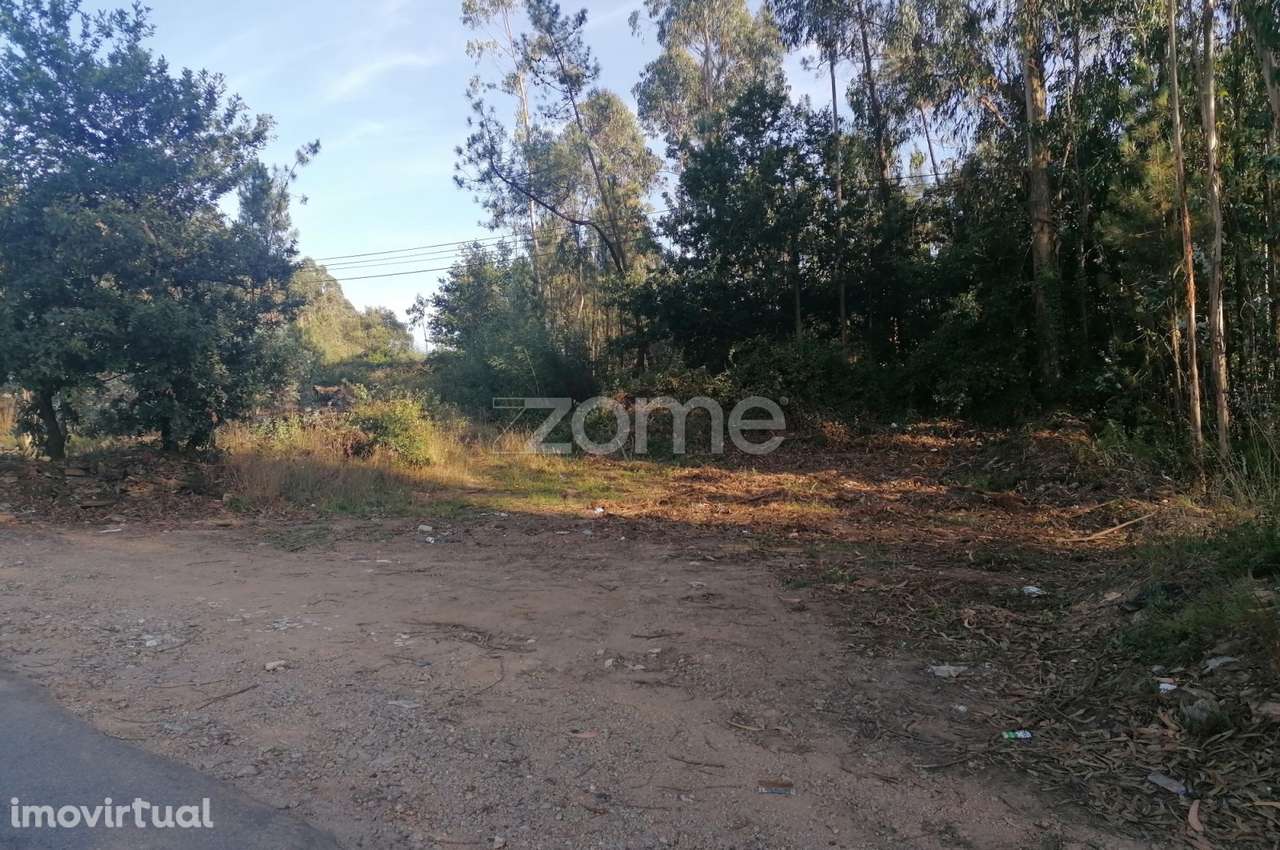 Terreno rustico com 25.000 M2 em Fradelos Famalicão - Grande imagem: 2/15